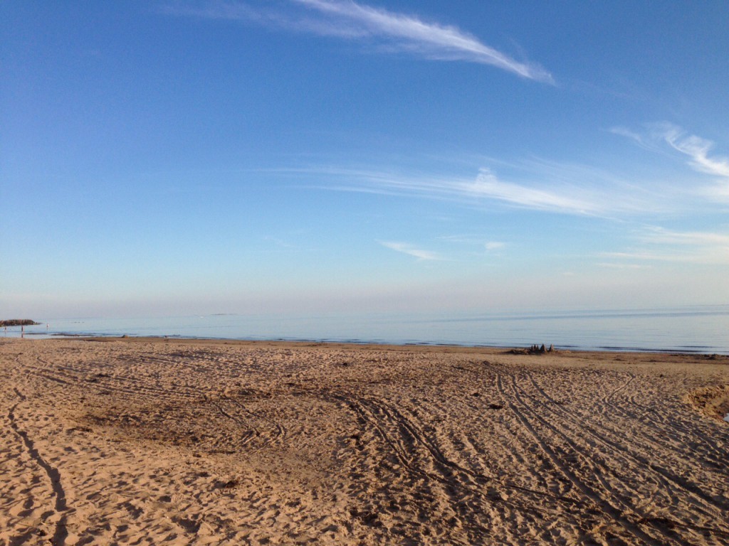 Fick inte med hela stranden på kortet, tog bara en del, så mycket som jag kunde. Skrea stranden är gör lång ju! :-)